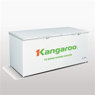 Tủ đông kháng khuẩn Kangaroo KG809C1